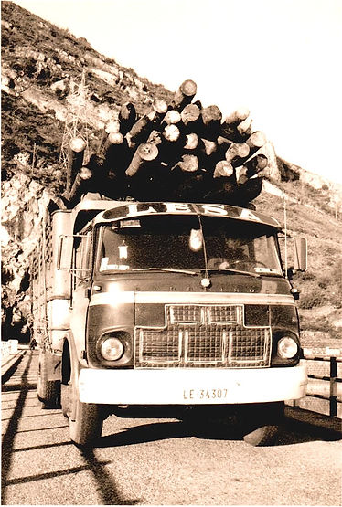 Historia Empresa de transportes en León